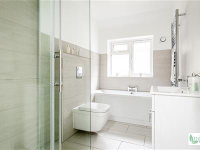 Picture 20